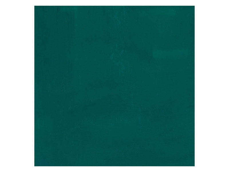 Bruynzeel - Ecola Poster Paint Bottle 16ml Dark Green 602
