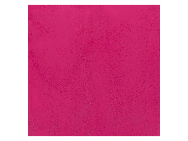 Bruynzeel - Ecola Poster Paint Bottle 16ml Tyrian Pink 359