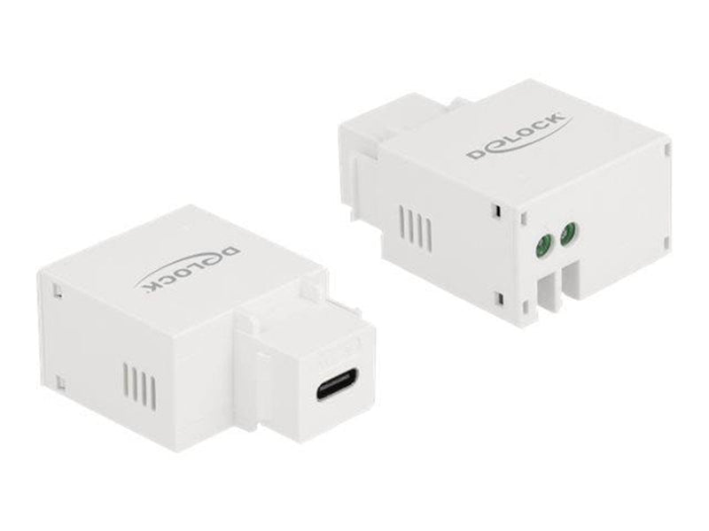 DeLOCK Power Adapter - 24 pin USB-C - 10.5 Watt