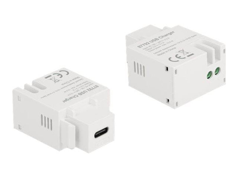 DeLOCK Power Adapter - 24 pin USB-C - 10.5 Watt