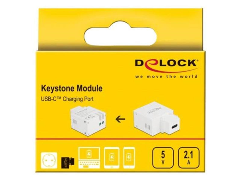DeLOCK Power Adapter - 24 pin USB-C - 10.5 Watt