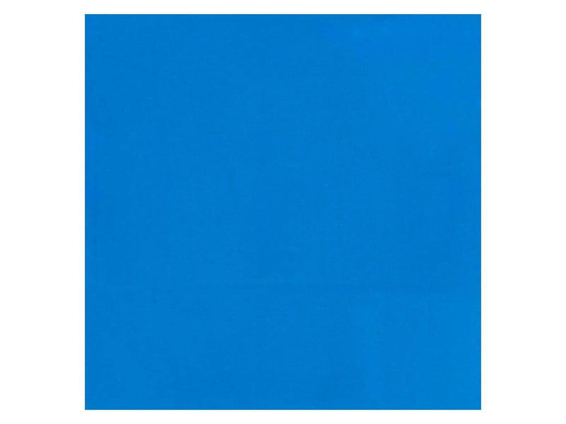 Bruynzeel - Ecola Poster Paint Bottle 16ml Light Blue 501