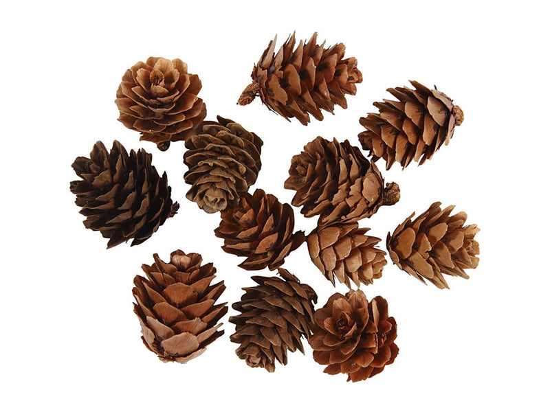 Creativ Company - Larch cones 12 pcs.