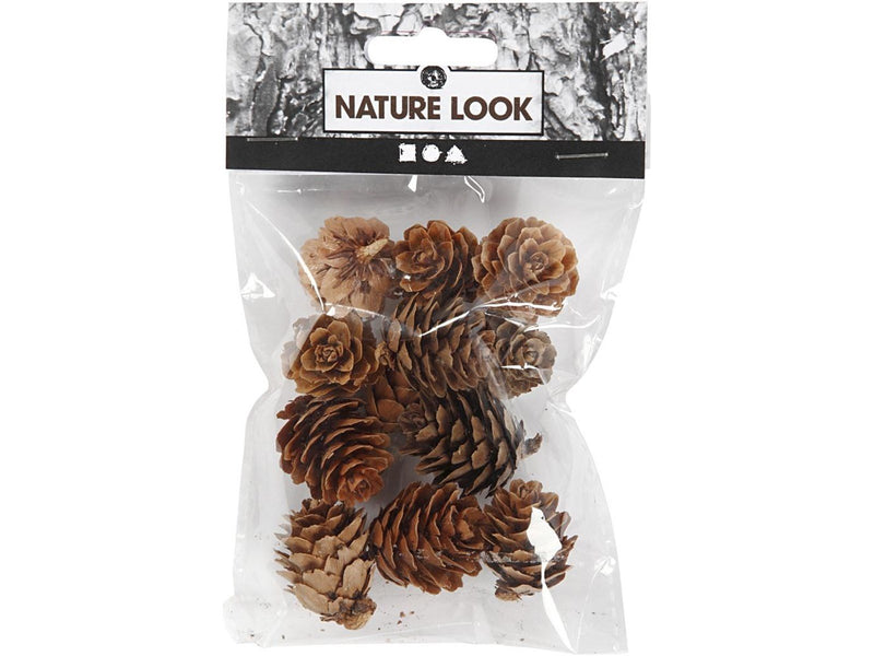 Creativ Company - Larch cones 12 pcs.
