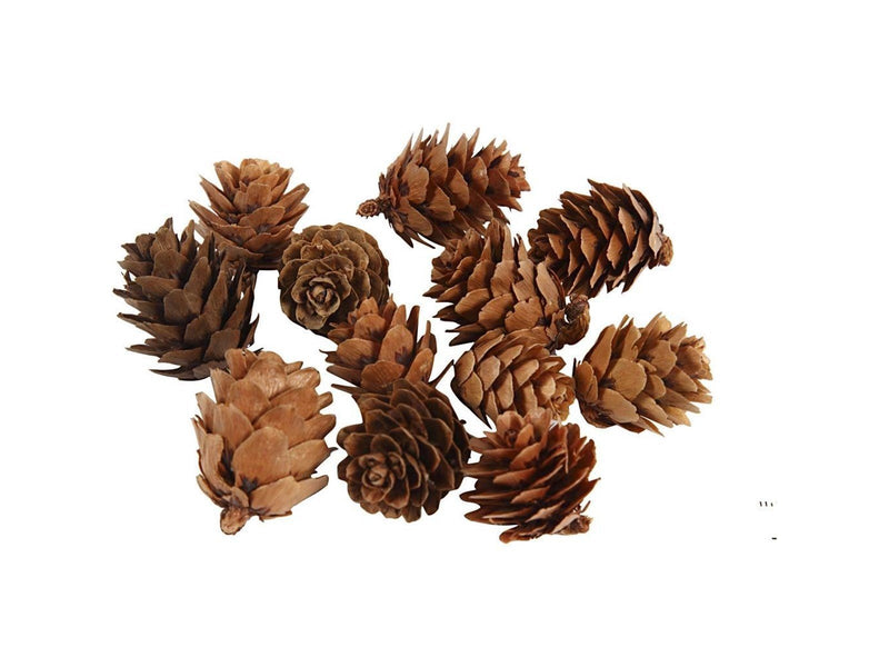 Creativ Company - Larch cones 12 pcs.