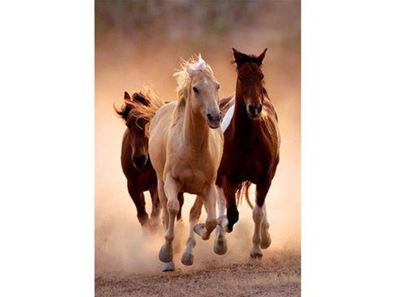 Clementoni Running Horses (1000)