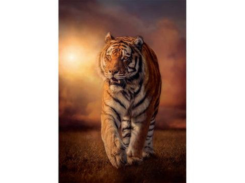 Clementoni Tiger (1000)