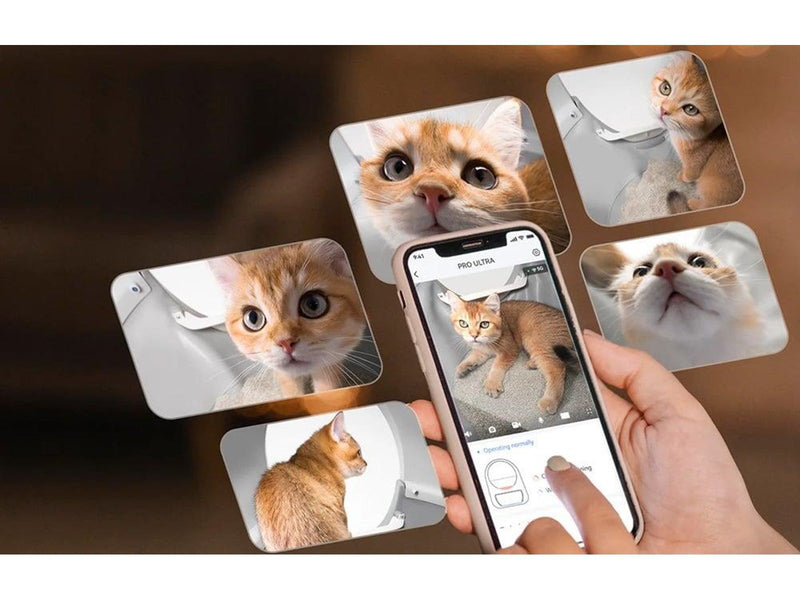 Catlink Scooper Pro Ultra Litter Box with AI Camera