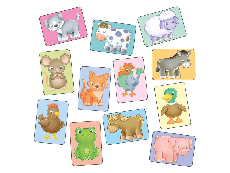 Orchard See & Sound Flashcards
