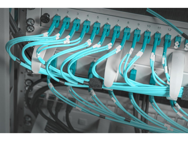 DIGITUS DN-97601-2 Cable Management Panel with changeable cable rings for 482.6 mm (19“) Cabinets