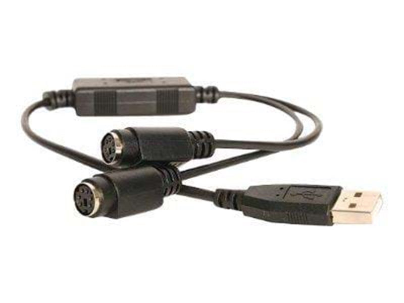 StarTech.com USB zu 2 xPS/2 Adapter