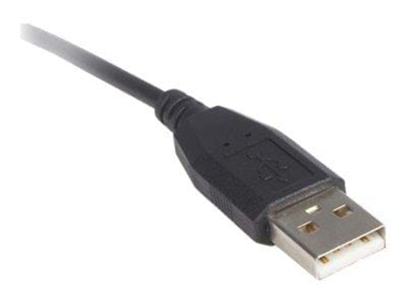 StarTech.com USB zu 2 xPS/2 Adapter