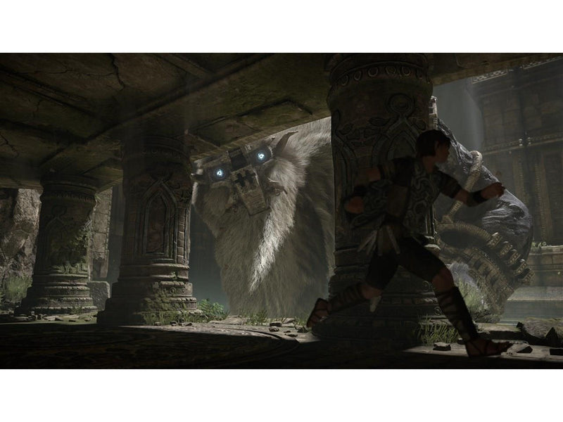 Shadow of the Colossus - Sony PlayStation 4 - Action/Abenteuer - PEGI 12