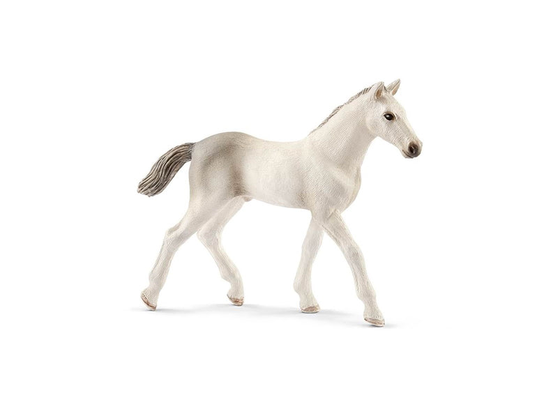 Schleich Holsteiner foal