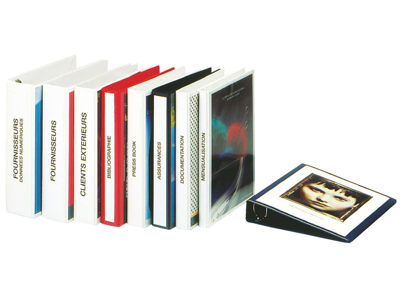 Esselte Präsentationsringbuch