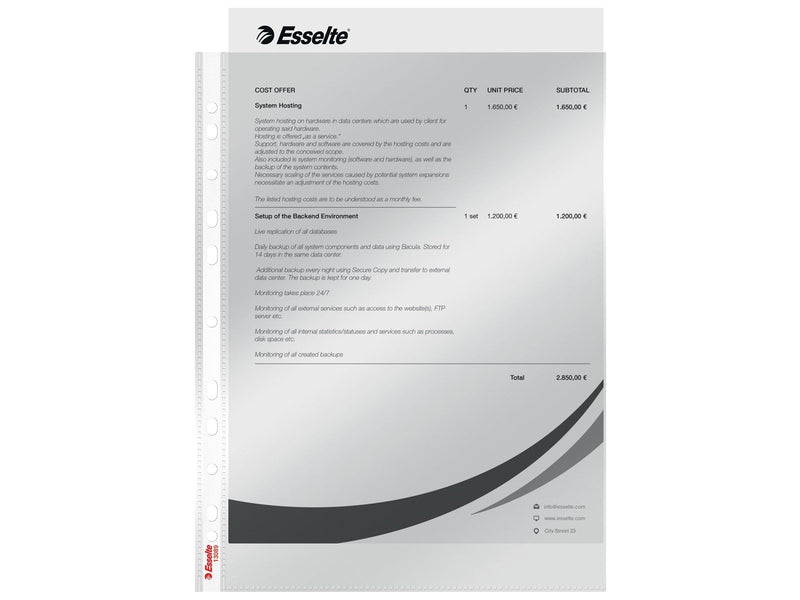 Esselte Prospekthülle Economy