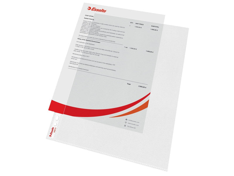 Esselte Prospekthülle Standard Plus