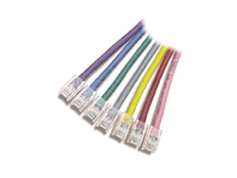 APC patch cable - 30.5 m - grey - Grau - 30 meter