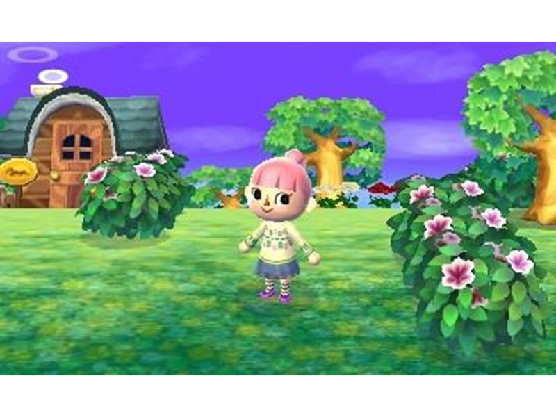 Animal Crossing: New Leaf - Welcome Amiibo - Nintendo 3DS - Kinder - PEGI 3