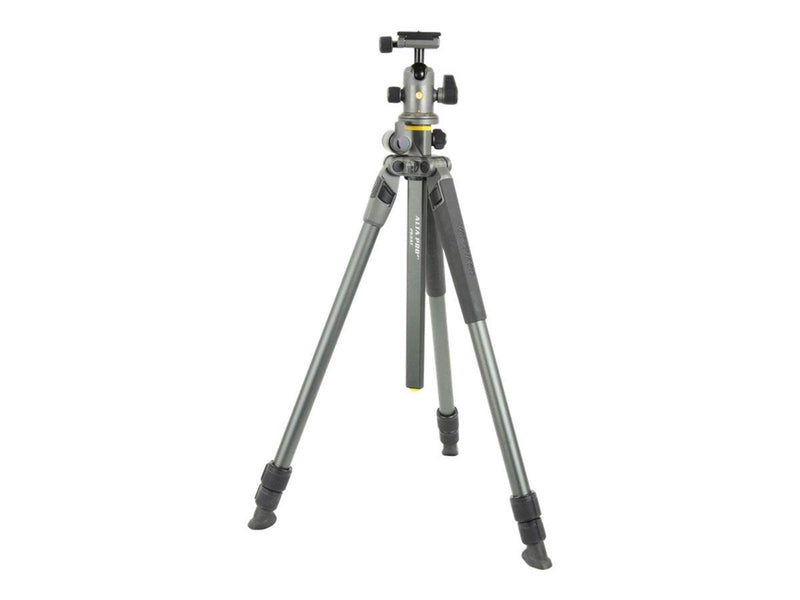Vanguard Alta Pro 2+ 263AB100
