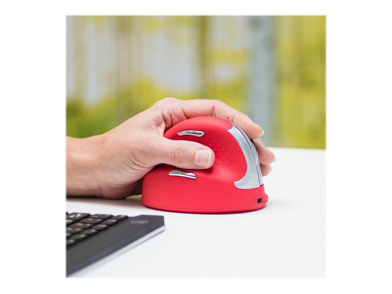 R-Go Tools R-Go HE Sport - Vertical mouse (Rot)