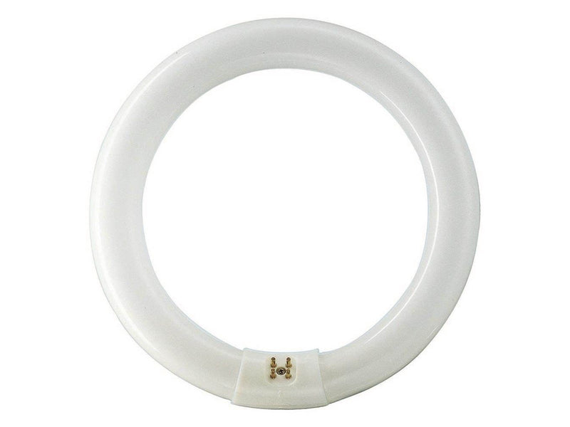 Philips Fluoreszierende Glühbirne Master TL-E Circular 32W/840 G10q