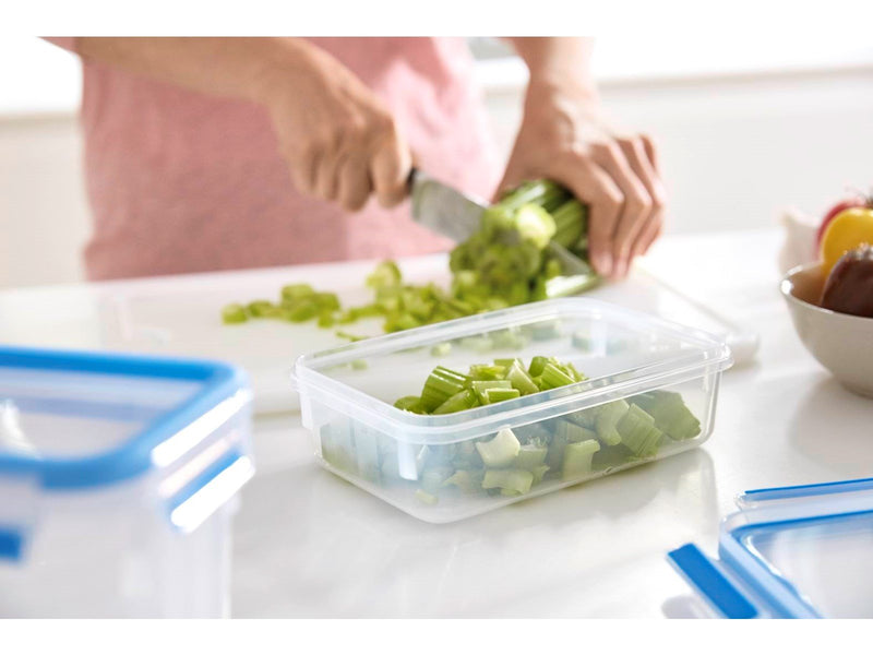 Tefal MasterSeal FRESH box 3pcs 0.55/1.0/2.30L