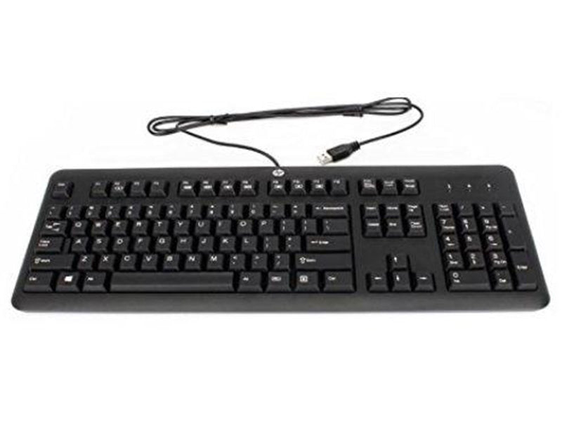 HP Keyboard JB USB Swiss - Tastaturen - Schweiz - Silber
