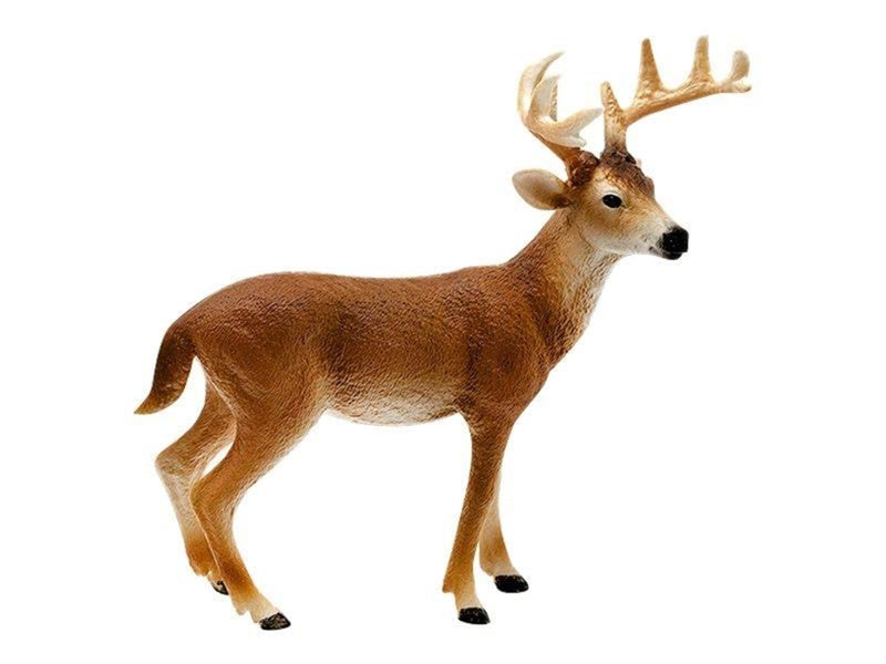 Schleich Wild Life White-Tailed Buck