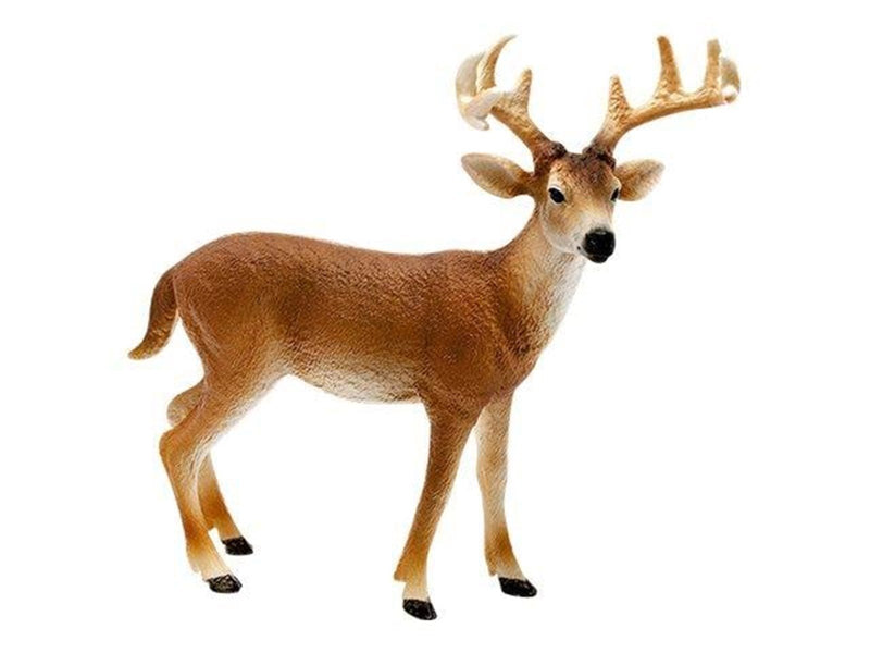 Schleich Wild Life White-Tailed Buck