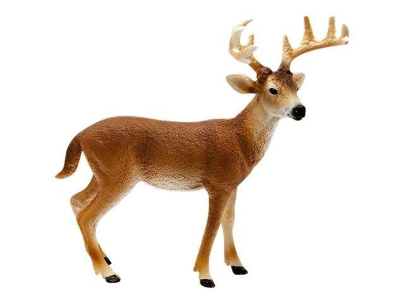 Schleich Wild Life White-Tailed Buck