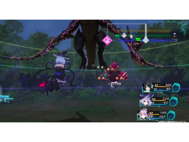 Dragon Star Varnir - Sony PlayStation 4 - RPG - PEGI 12