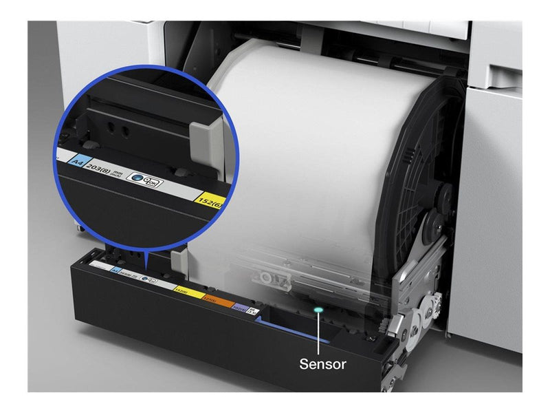 Epson T43U - light cyan - original - ink cartridge - Tintenpatrone Helles Cyan