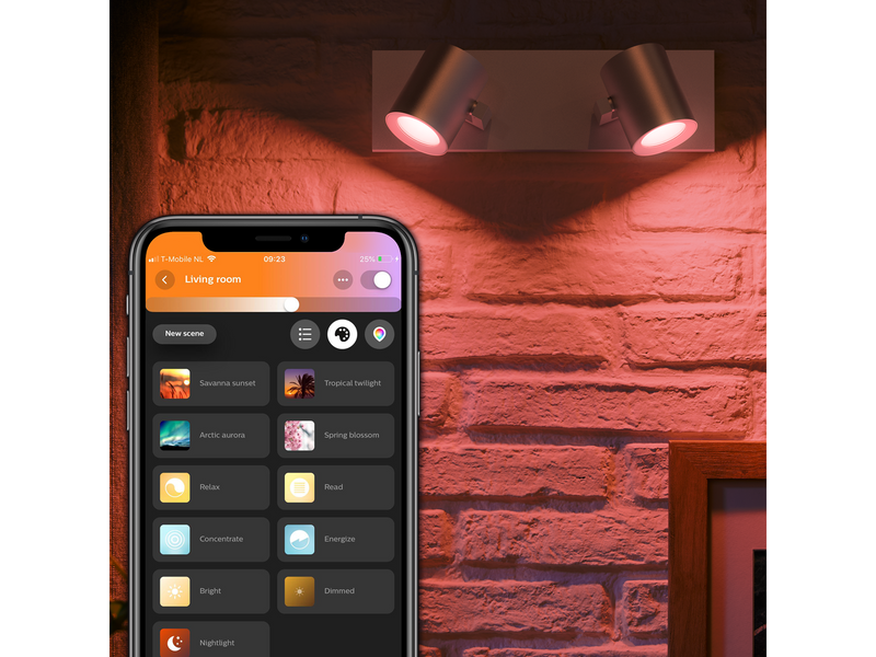Philips Hue Argenta 2er Spot - Alu