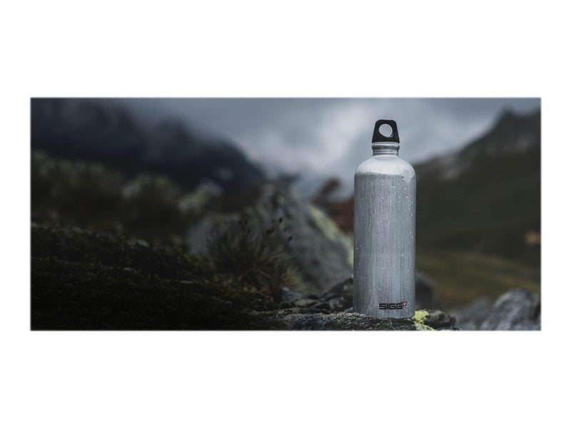 Sigg Traveller