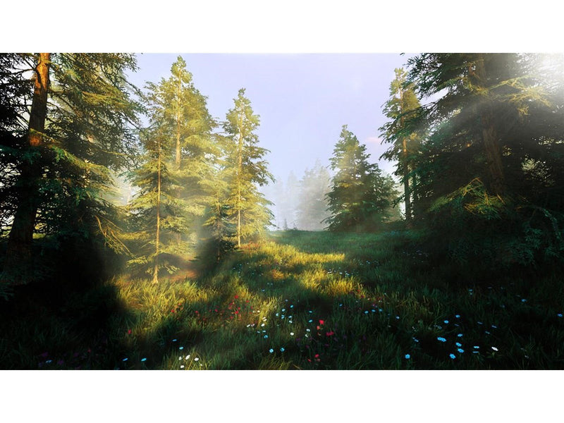 Hunting Simulator 2 - Sony PlayStation 4 - Jagd - PEGI 16