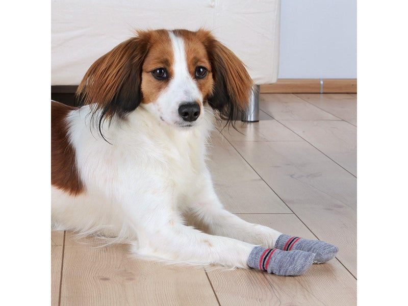 Trixie Dog Socks Anti-slip 2 pcs. L-XL