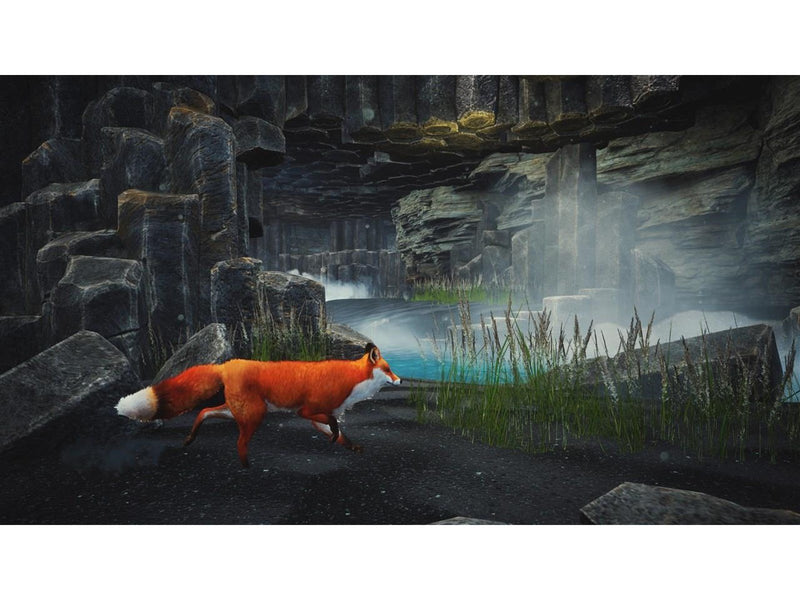 Spirit of the North: Enhanced Edition - Sony PlayStation 5 - Abenteuer - PEGI 7