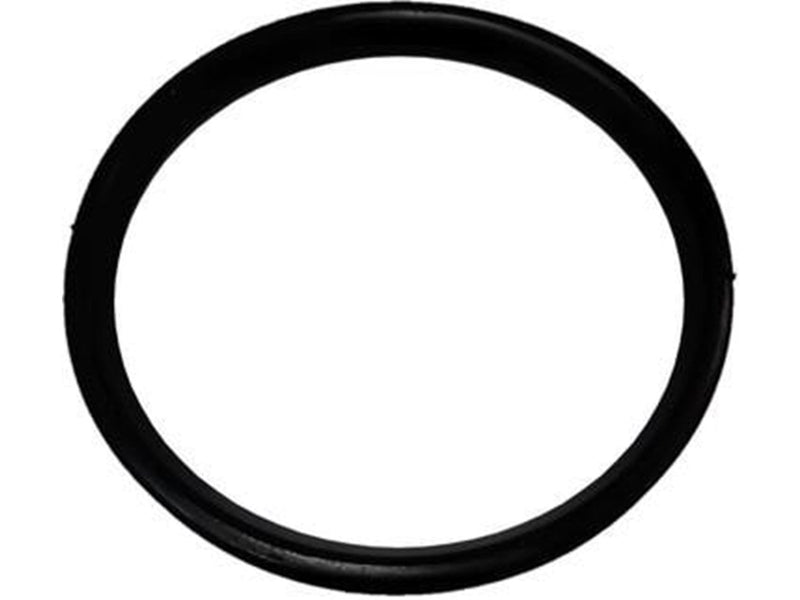 ALIAXIS Dblue sealing ring ø75