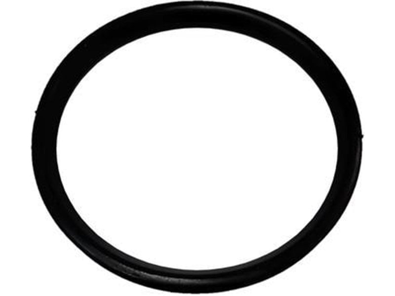 ALIAXIS Dblue sealing ring ø50