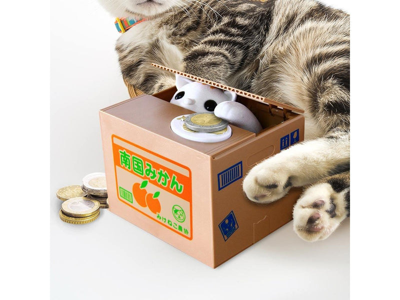 Mikamax Kitty bank
