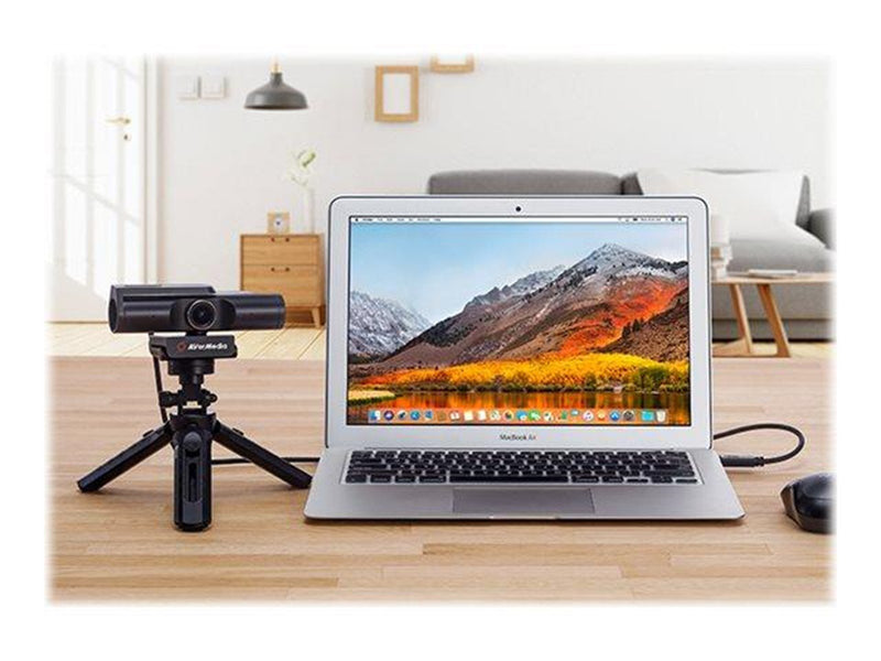 AverMedia Live Streamer CAM 513