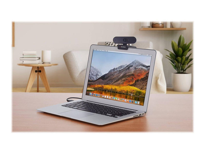 AverMedia PW310P