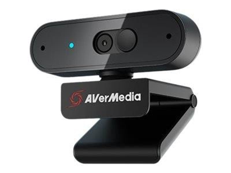 AverMedia PW310P