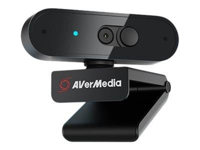 AverMedia PW310P