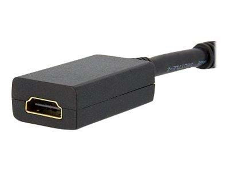 StarTech.com DisplayPort zu HDMI Adapter