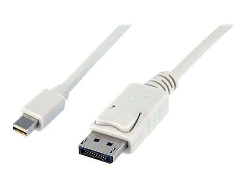 StarTech.com Mini DisplayPort zu DisplayPort Adapter Kabel - Video-/Audiokabel