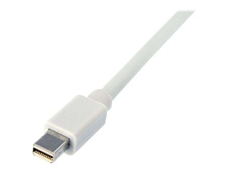 StarTech.com Mini DisplayPort zu DisplayPort Adapter Kabel - Video-/Audiokabel