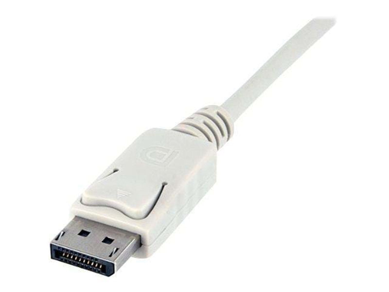 StarTech.com Mini DisplayPort zu DisplayPort Adapter Kabel - Video-/Audiokabel