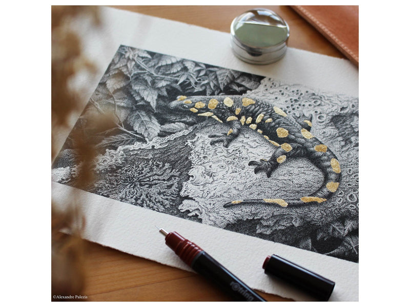 Rotring rOtring Isograph technischer Zeichenstift | 0,10 mm nachfüllbare Fineliner